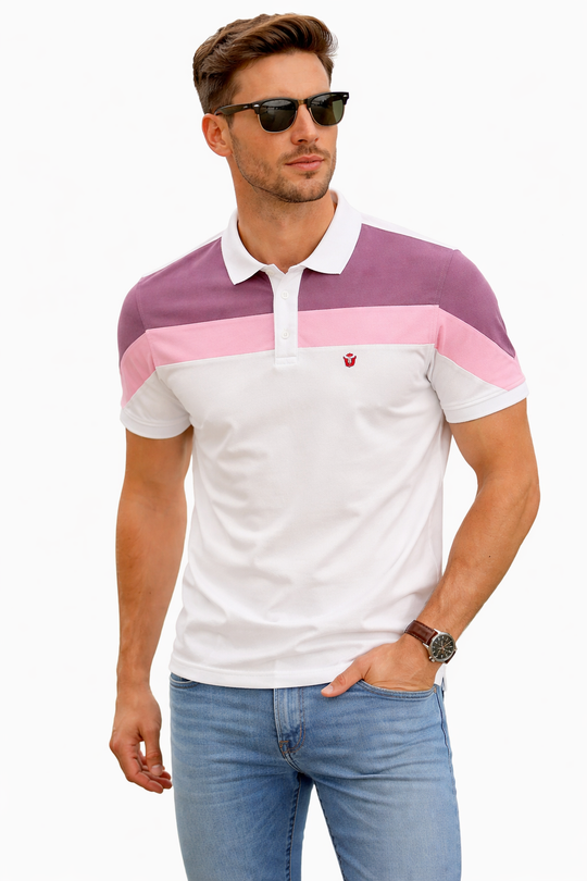 Front view of Dare Wolf classic multicolor cut & sew polo neck half sleeve t-shirt